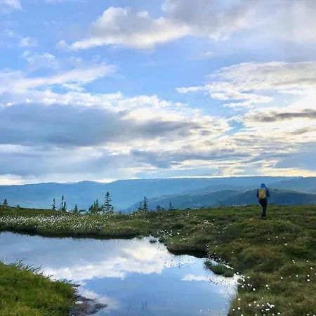 Mountain With Jacuzzi Near Turufjell Fla